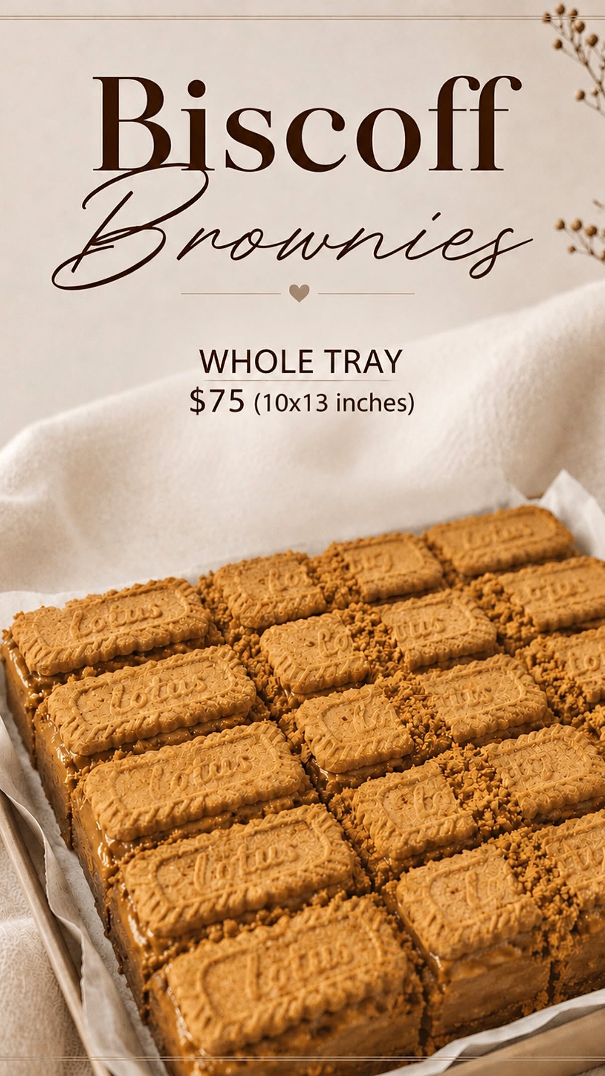 Biscoff Brownies